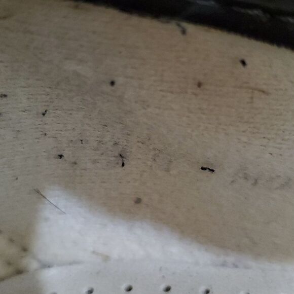 SAS Siesta - Lace Up Loafer Gray 7.5 - Picture 13 of 13